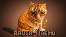 Brush Jjaemu img