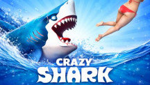 Crazy Shark img