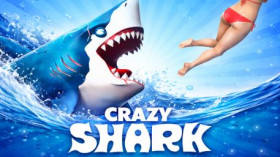 Crazy Shark img