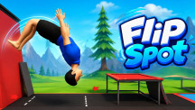 Flip Spot img